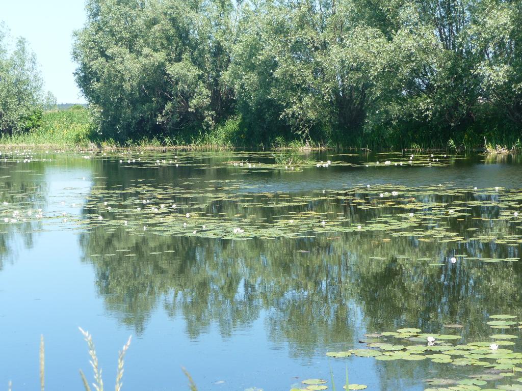 Apartment Apartament Krolewiecki - Pokoje Goscinne Sztutowo